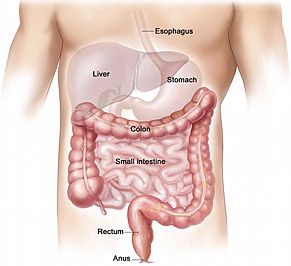 Reasons to Consider Colon Cleansing.