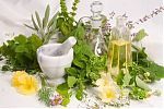 Which Colon Cleansing Herbs Revive Your Body And Mind?